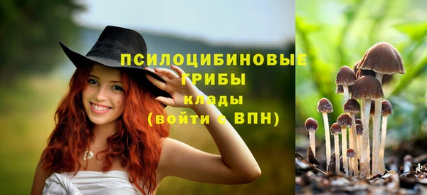 ПСИЛОЦИБИНОВЫЕ ГРИБЫ Абаза