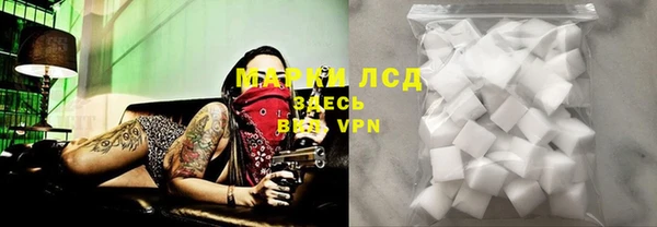 ПСИЛОЦИБИНОВЫЕ ГРИБЫ Абаза