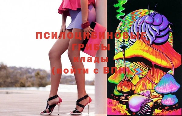 ПСИЛОЦИБИНОВЫЕ ГРИБЫ Абаза
