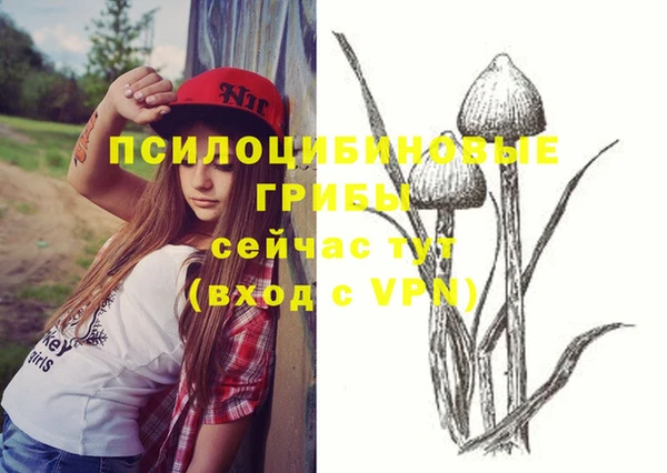 ПСИЛОЦИБИНОВЫЕ ГРИБЫ Абаза